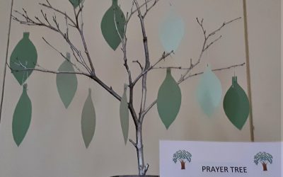 Our PRAYER TREE is available for your prayer requests.  Every week someone from the Prayer Team will pray for that person or situation.
